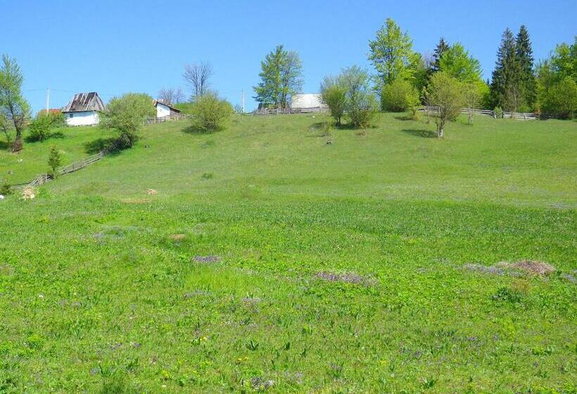 Pensiunea Rustic Ghetar