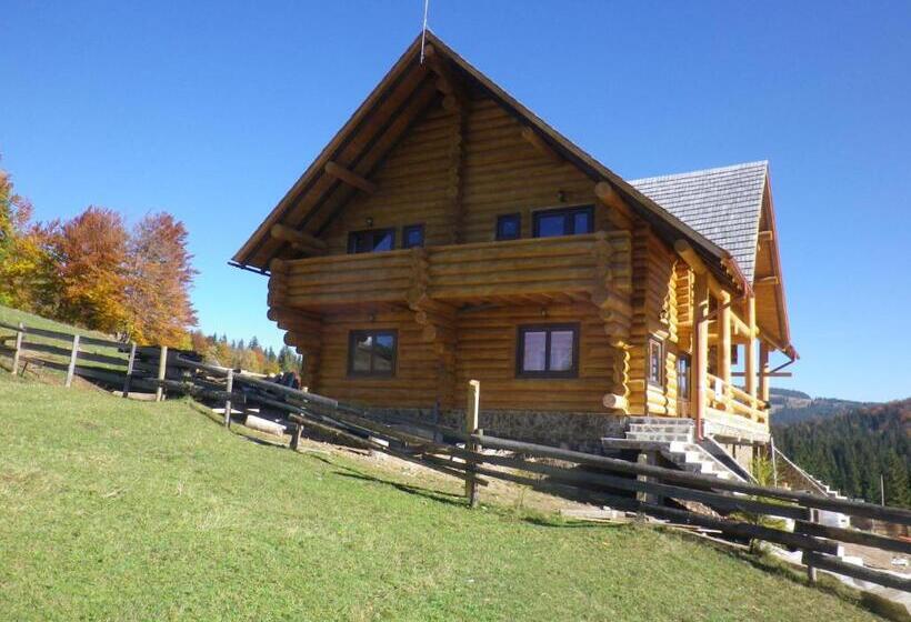 Pensiunea Rustic Ghetar