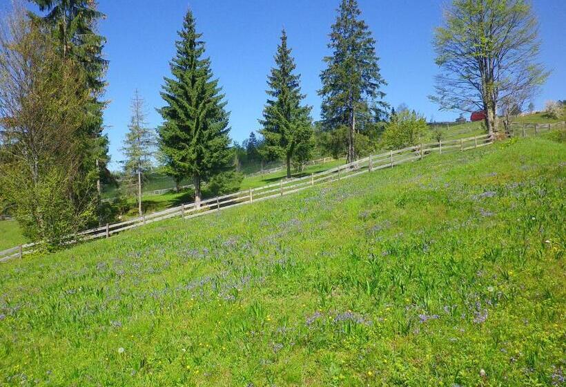 Pensiunea Rustic Ghetar