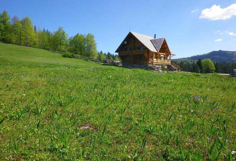 Pensiunea Rustic Ghetar