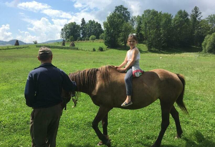 بنسيون Sadyba Pikuy