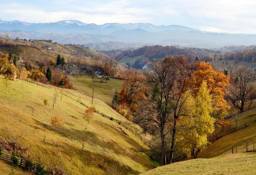 פנסיון Samedru