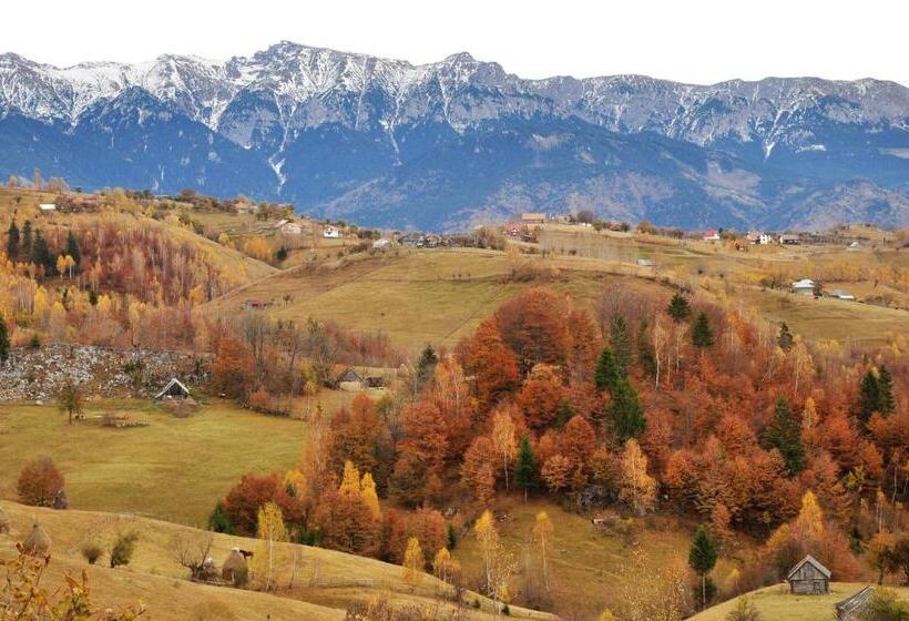 بنسيون Samedru