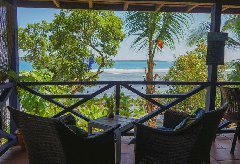 بنسيون Mosana Reef Garden B&b