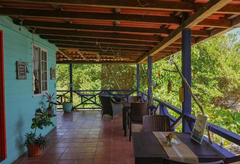 بنسيون Mosana Reef Garden B&b