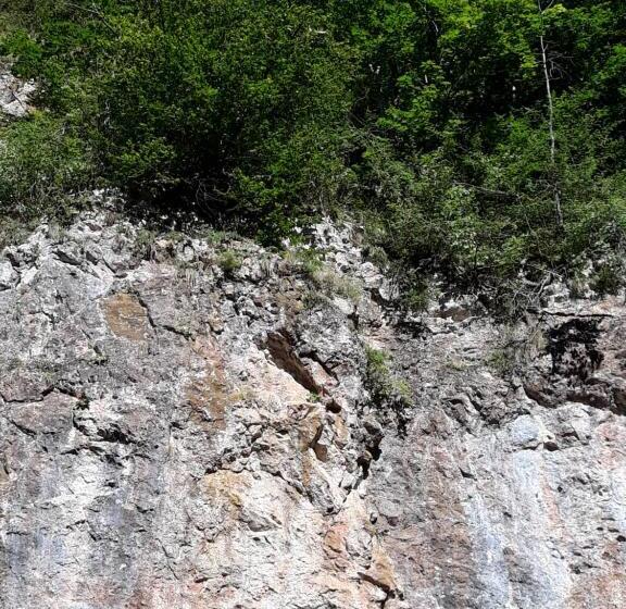 펜션 Timi Kulcsosház