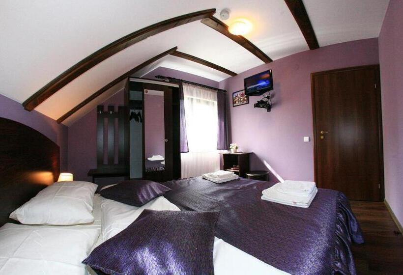 펜션 Vila Romanita