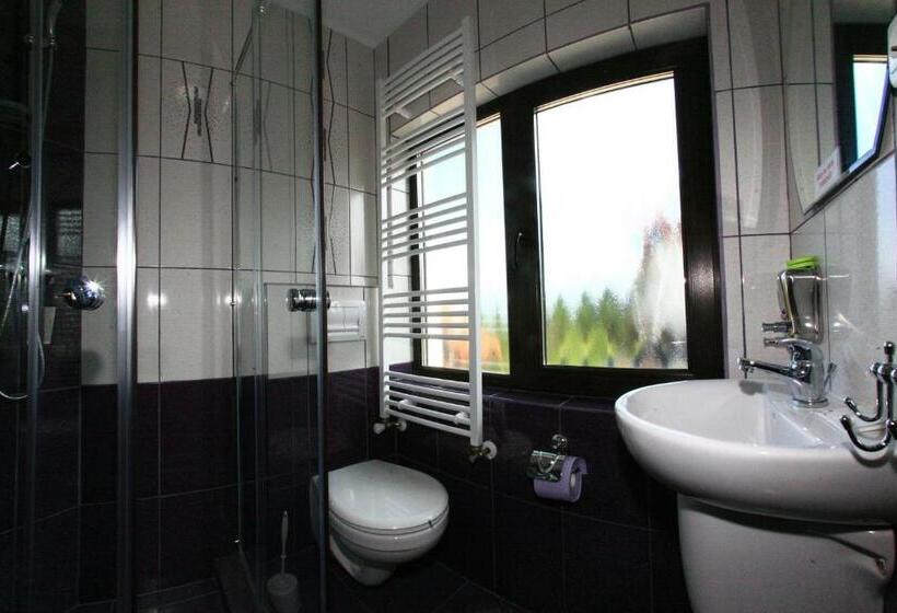 펜션 Vila Romanita