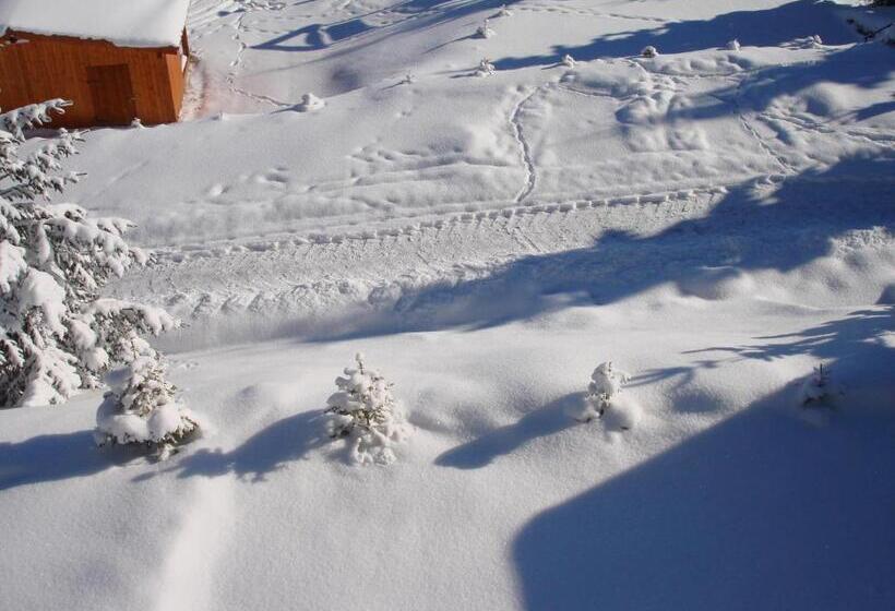 펜션 Vila Romanita