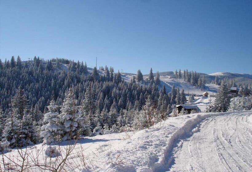 펜션 Vila Romanita