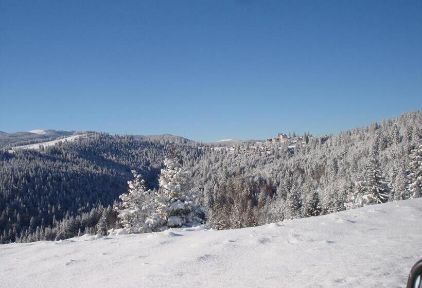 펜션 Vila Romanita