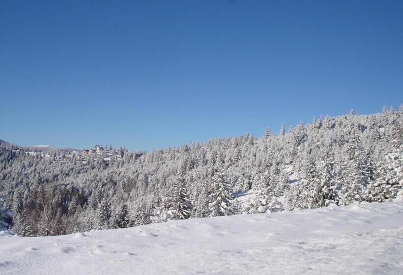 펜션 Vila Romanita