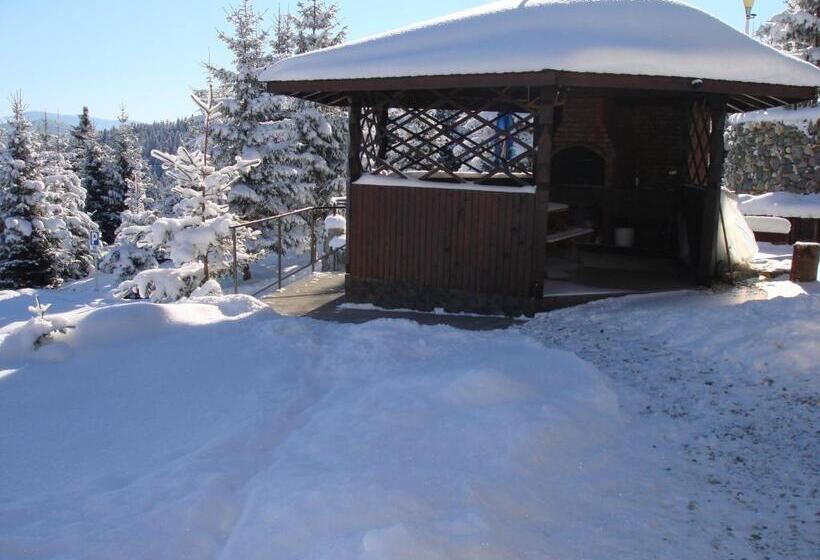 펜션 Vila Romanita