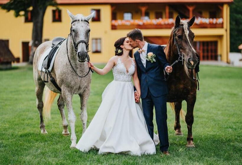 펜션 Zámecký Dvůr černousy