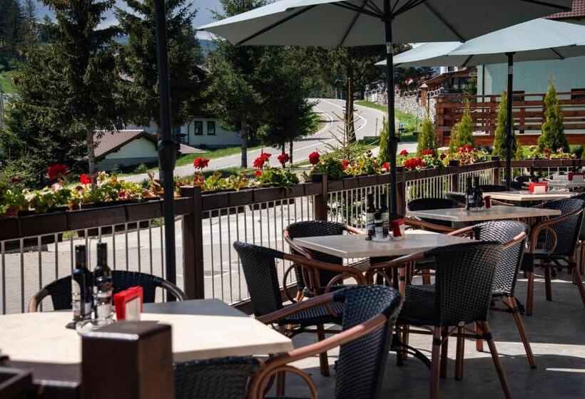 Pensiune Rara Paltinis