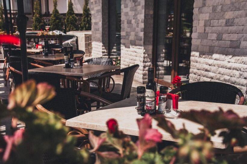 Pensiune Rara Paltinis