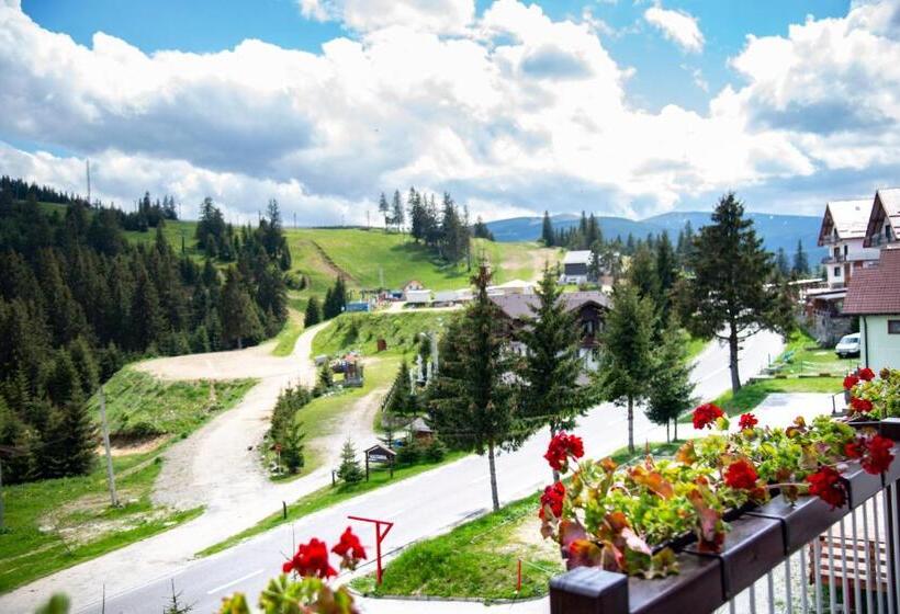 Pensiune Rara Paltinis