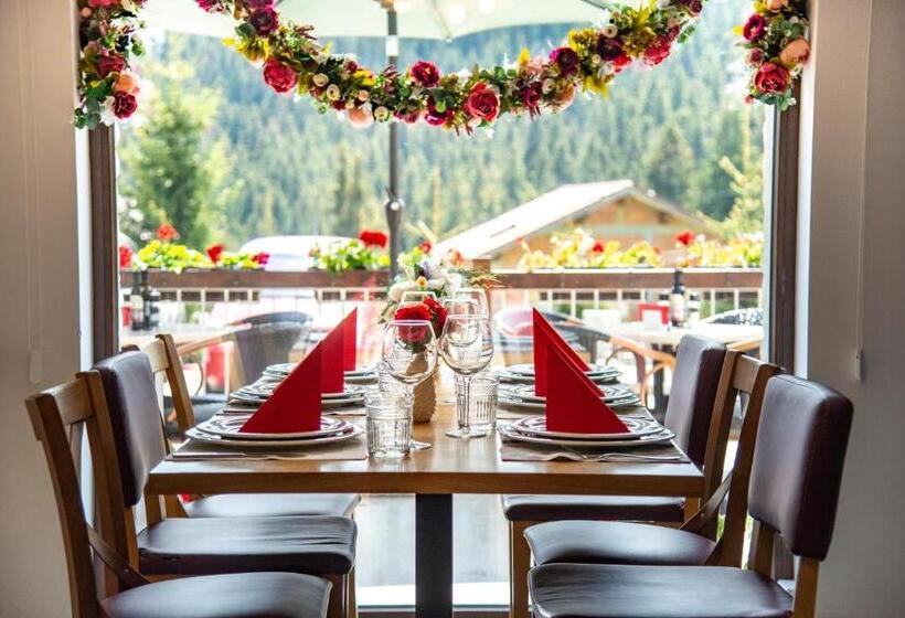 Pensiune Rara Paltinis