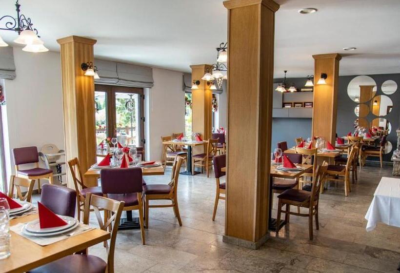 Pensiune Rara Paltinis