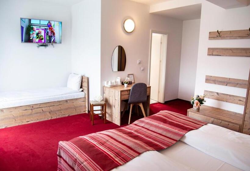 Pensiune Rara Paltinis