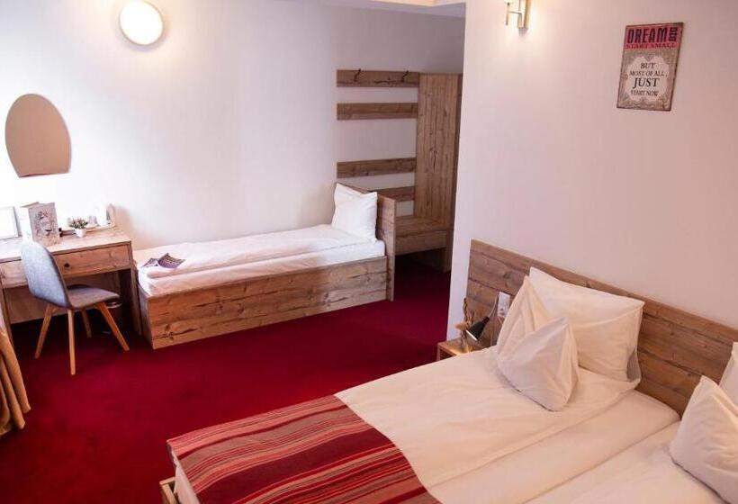 Pensiune Rara Paltinis