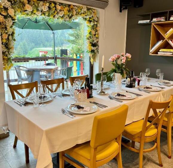 Pensiune Rara Paltinis