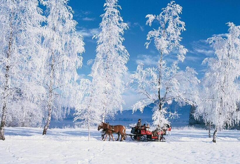 Pensiunea Bella Vita