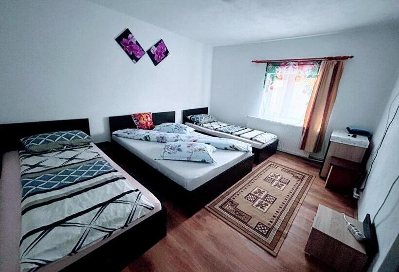 ペンション Casa Andreea