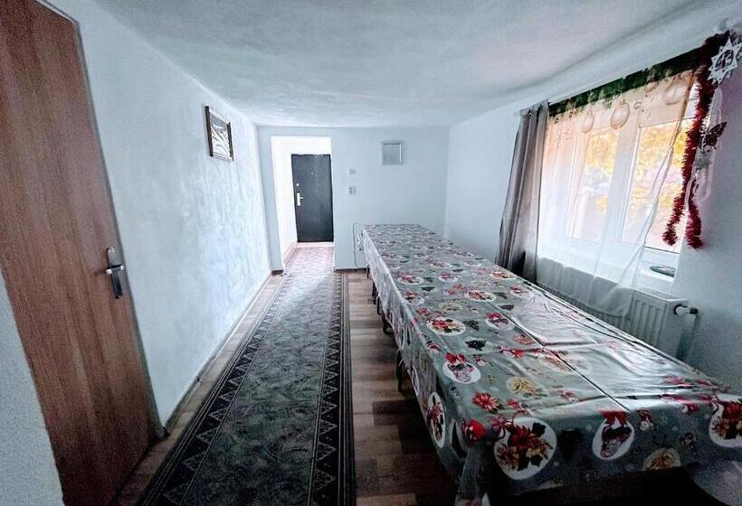 پانسیون Casa Andreea
