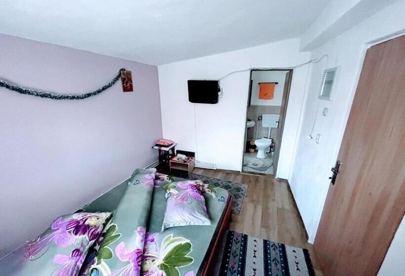 ペンション Casa Andreea