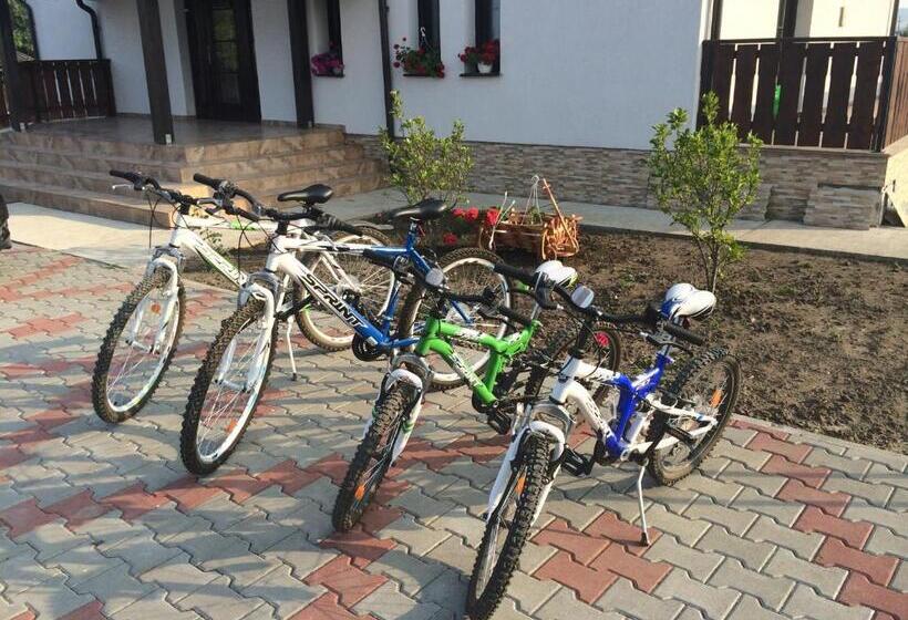 Pensiunea Dany   Crys