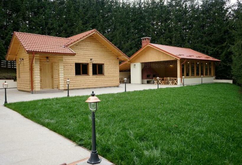 Pensiunea Floarea De Colt