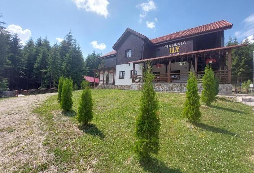 Pensiunea Ily
