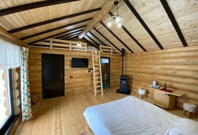 Pensiunea Lupul Dacic