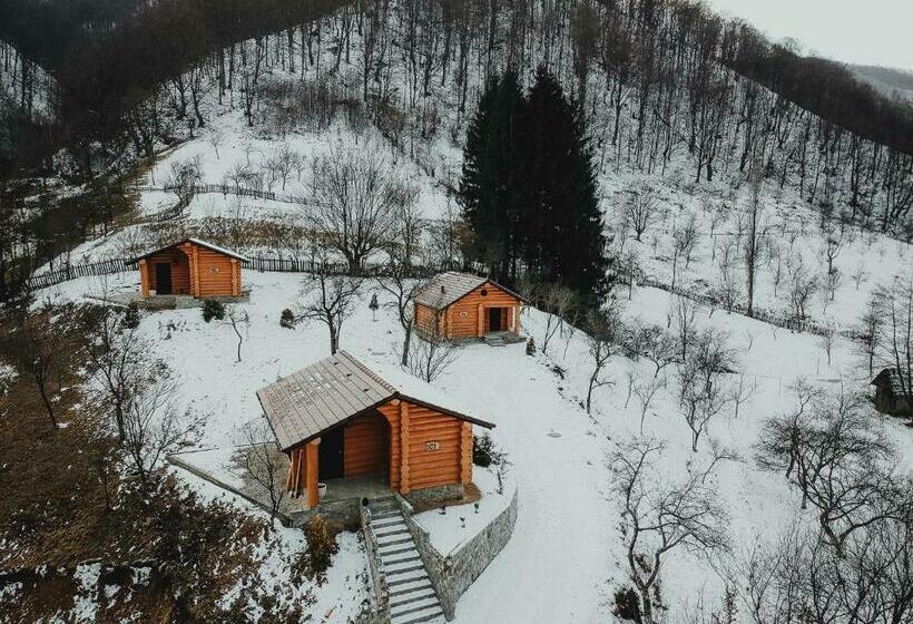 Pensiunea Lupul Dacic