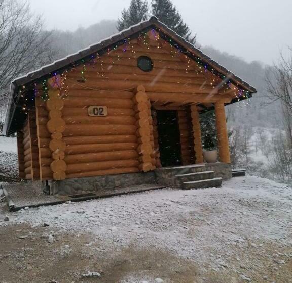 Pensiunea Lupul Dacic