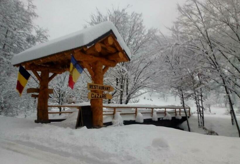 Pensiunea Lupul Dacic