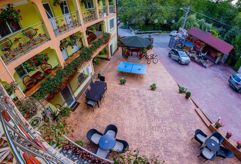 Pensiunea Mihaela Transalpina