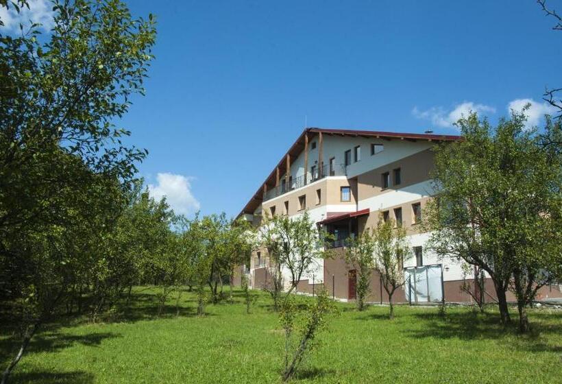 Pensiunea Muntele Verde