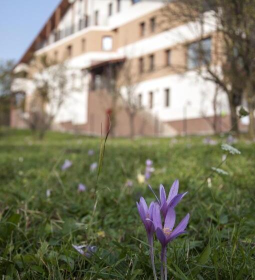 Pensiunea Muntele Verde