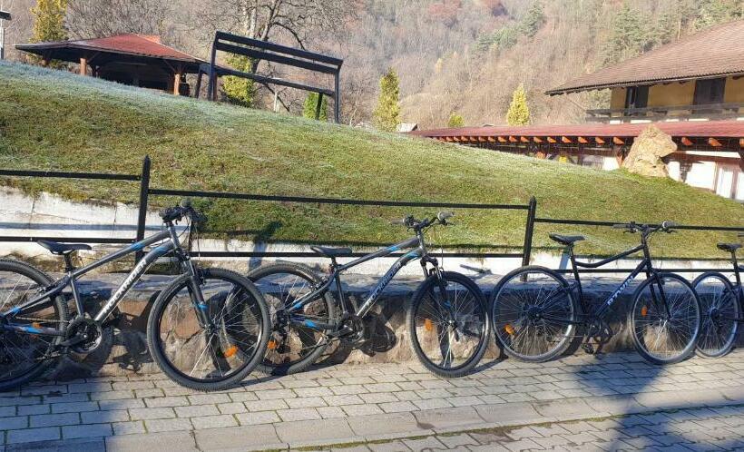 Pensiunea Rau Sadului