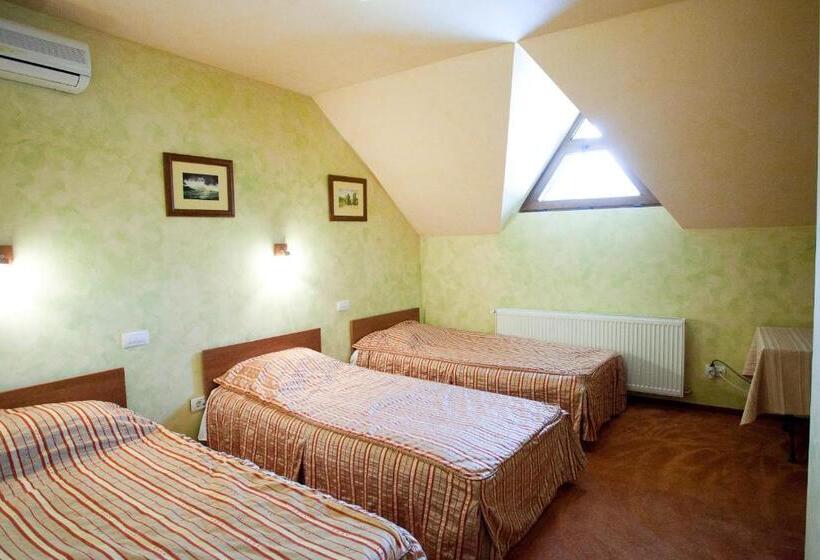 Pensiunea Romeo Tecuci