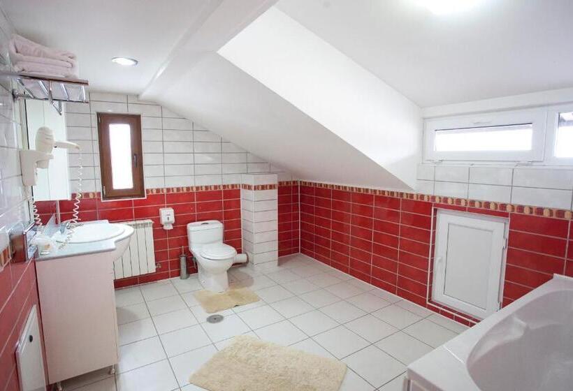 Pensiunea Romeo Tecuci