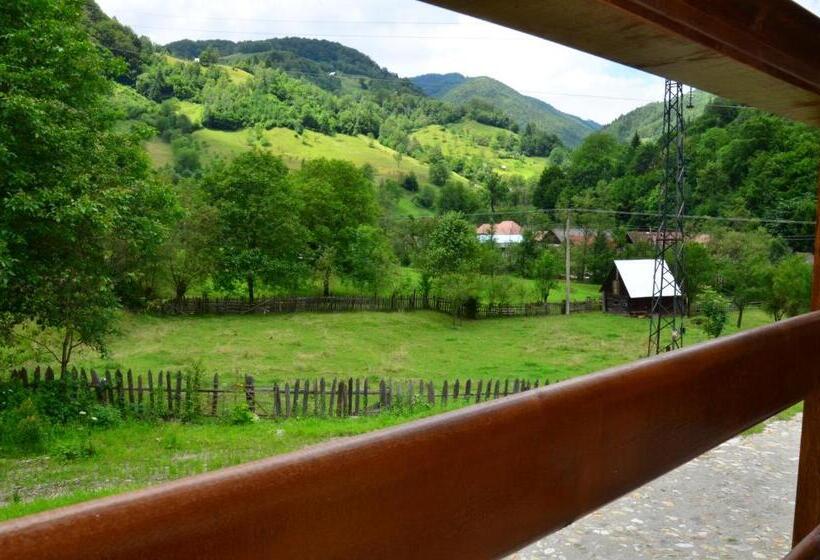 Pensiunea Valea Pinului