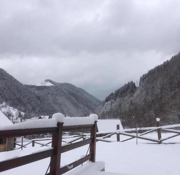 Pensiunea Valea Pinului