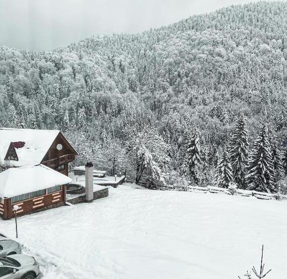 אתר נופש Kamyanka