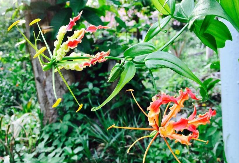 渡假胜地  Oon Lee Bungalows