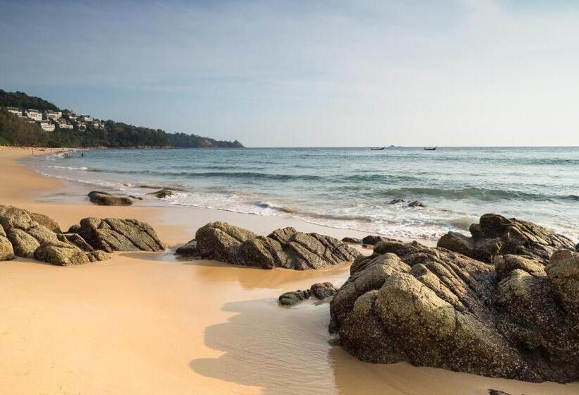 渡假胜地  Thelifeco Wellbeing Phuket Detox Center And Vegan Hotel   Sha Plus