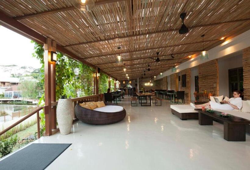 渡假胜地  Thelifeco Wellbeing Phuket Detox Center And Vegan Hotel   Sha Plus