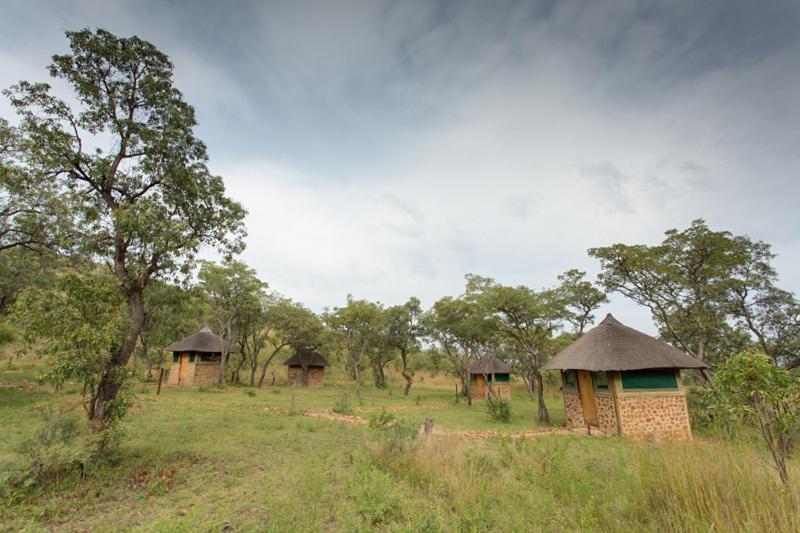 リゾートホテル Zinyala Private Game Reserve